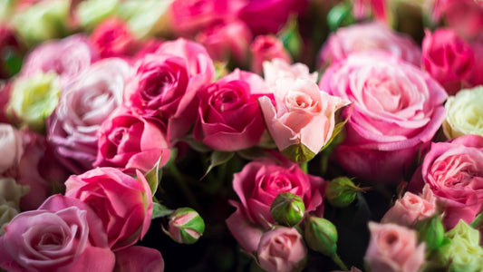 Why We Still Send Flowers on Valentine’s Day